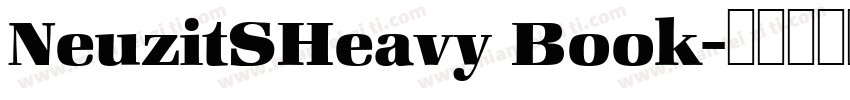 NeuzitSHeavy Book字体转换